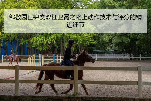 邹敬园世锦赛双杠卫冕之路上动作技术与评分的精进细节